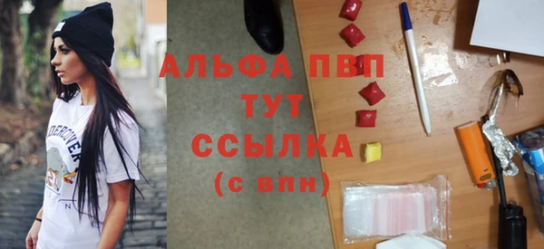 гидра Алексин