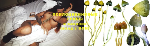 прущий лед Алзамай