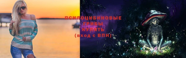 прущий лед Алзамай