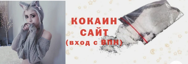прущий лед Алзамай