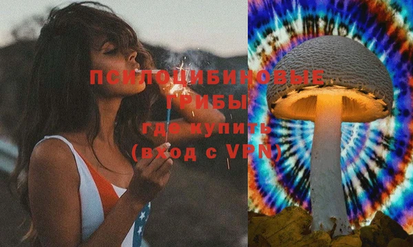 прущий лед Алзамай